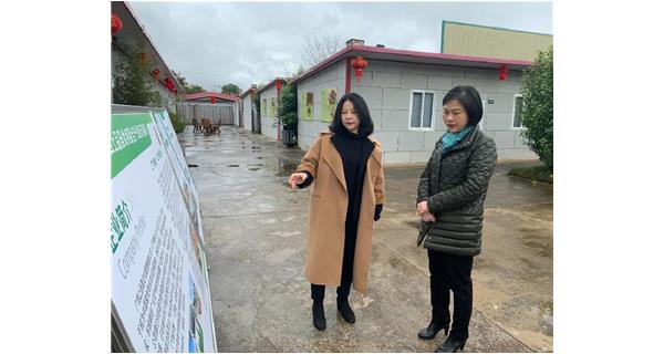 2022年2月21日下午，梧州市副市长苏颖、梧州市妇联主席易洁、梧州市政府副秘书长刘念等一行到公司食用菌基地调研。